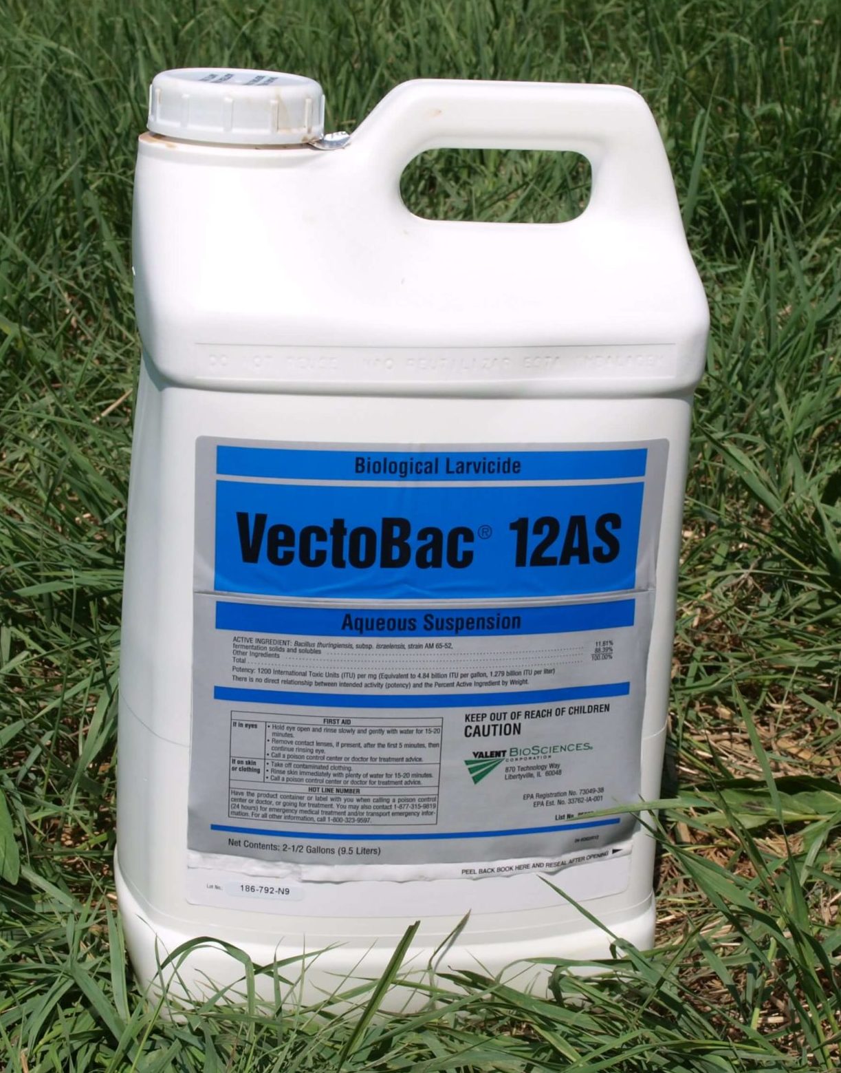 VectoBac 12AS - Preparat używany do integrowanej kontroli populacji komarów